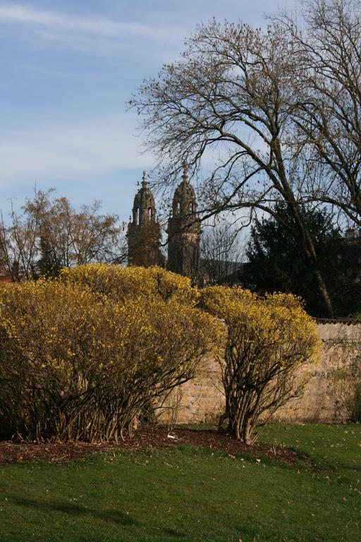 Lunéville Chambres D'Hotes Le Domaine De Stanislas מראה חיצוני תמונה