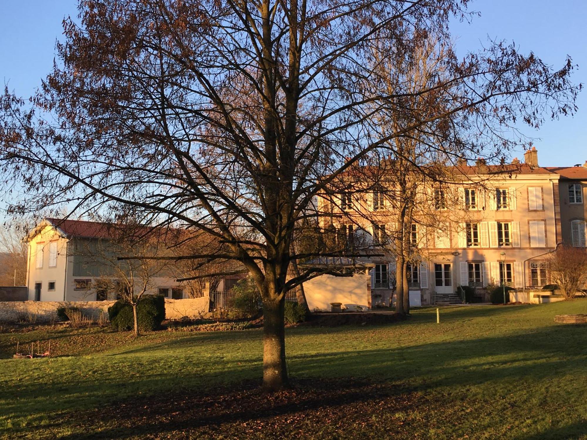 Lunéville Chambres D'Hotes Le Domaine De Stanislas מראה חיצוני תמונה